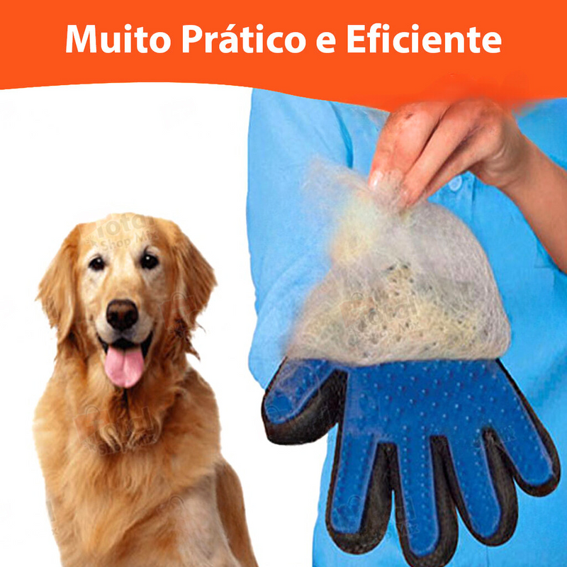 Luva Pet Nano Magnética e Escova Removedora de Pelos Ultimas Unidades🐕🐈+ Frete Grátis 🚚