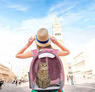 Mochila de Transporte com Visor Astronauta para Pets